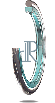 hydraulic rod seal ds109