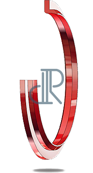 hydraulic rod seal ds116