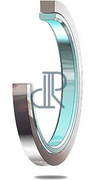 hydraulic rod seal ds138