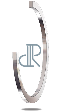 hydraulic rod seal ds101