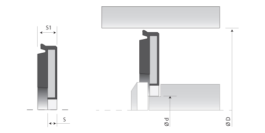 grove dimensions of the rod seals