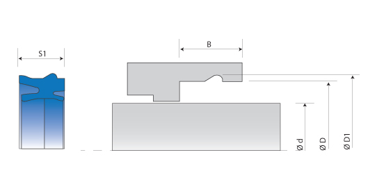 grove dimensions of the rod seals