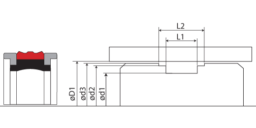 grove dimensions of the rod seals