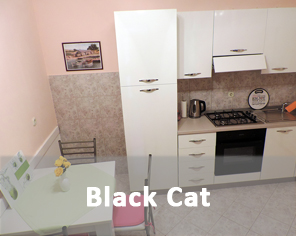 double apartment in split ceneter