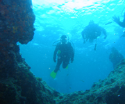 scuba diving trips