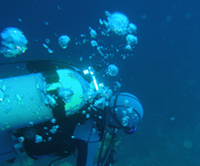 scuba diving trips