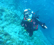 scuba diving trips