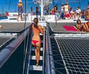 Mega Catamaran Split