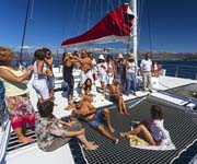 Mega Catamaran Split